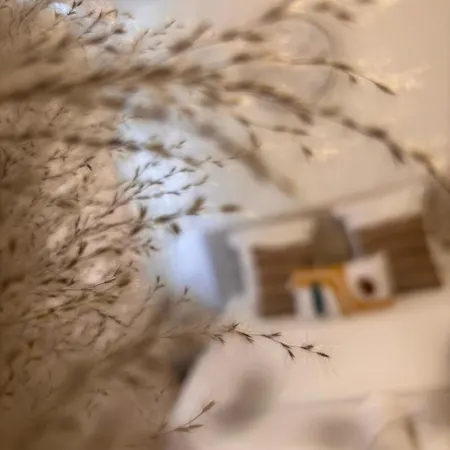 Louis Ricard 3* Rouen