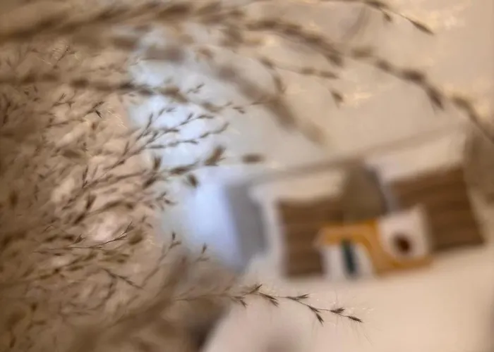 Louis Ricard 3* Rouen